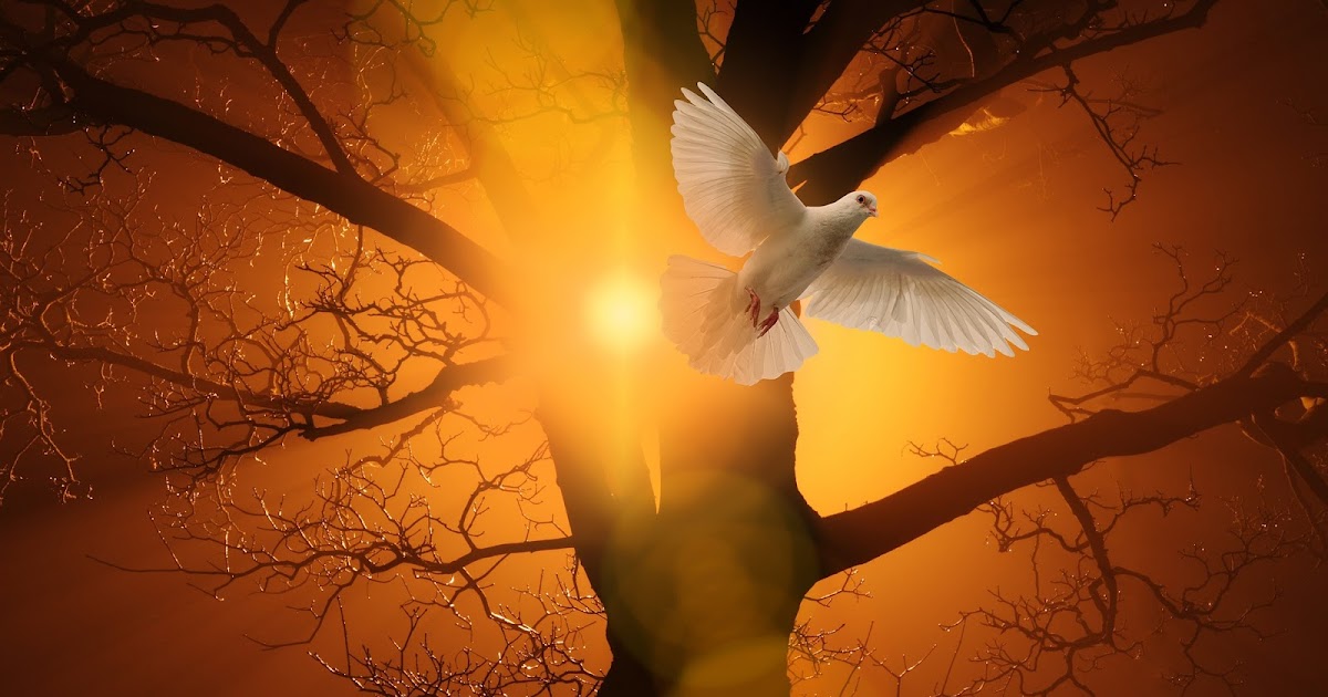 ALL THE TIME GOD IS GOOD! What are the Laws written on our hearts The