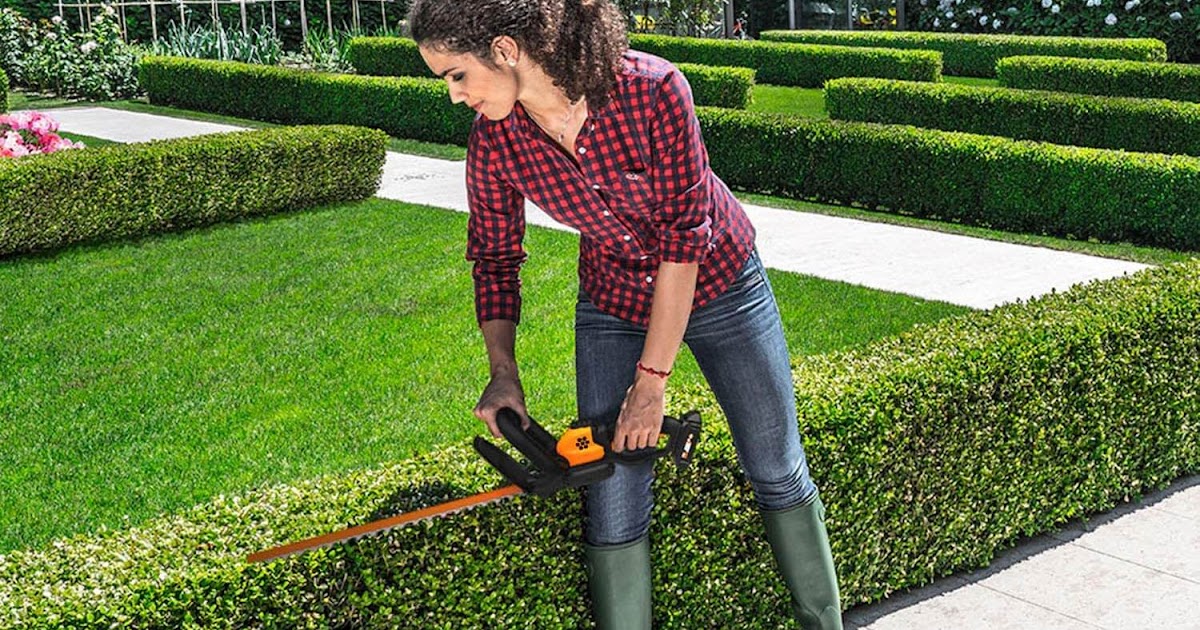 Best Value Cordless Hedge Trimmer Best Hedge Trimmer