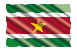 Suriname flag