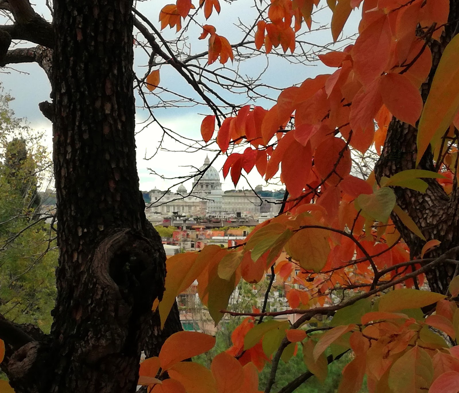 Travel Stories and Coffee November in Rome Travel Stories and Coffee November in Rome