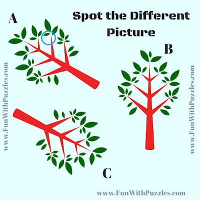 Answer of Find the Odd in the Puzzle Picture