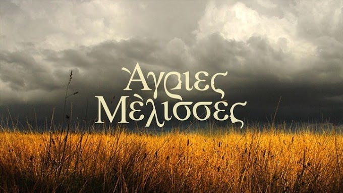 Άγριες Μέλισσες: Αυτό είναι το πρόσωπο "κλειδί" στη σειρά