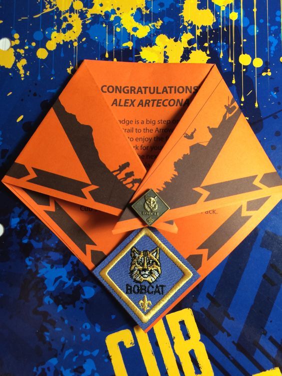 Akela's Council Cub Scout Leader Training Cub Scout Blue