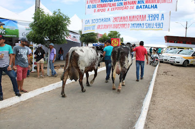 38ª Expo Bacia Leiteira em Batalha/AL vai apresentar resultados técnicos do setor