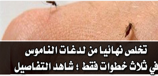 أخبار اليوم تخلص من لدغات الناموس في 3 خطوات فقط أخبار اليوم تخلص من لدغات الناموس في 3 خطوات فقط