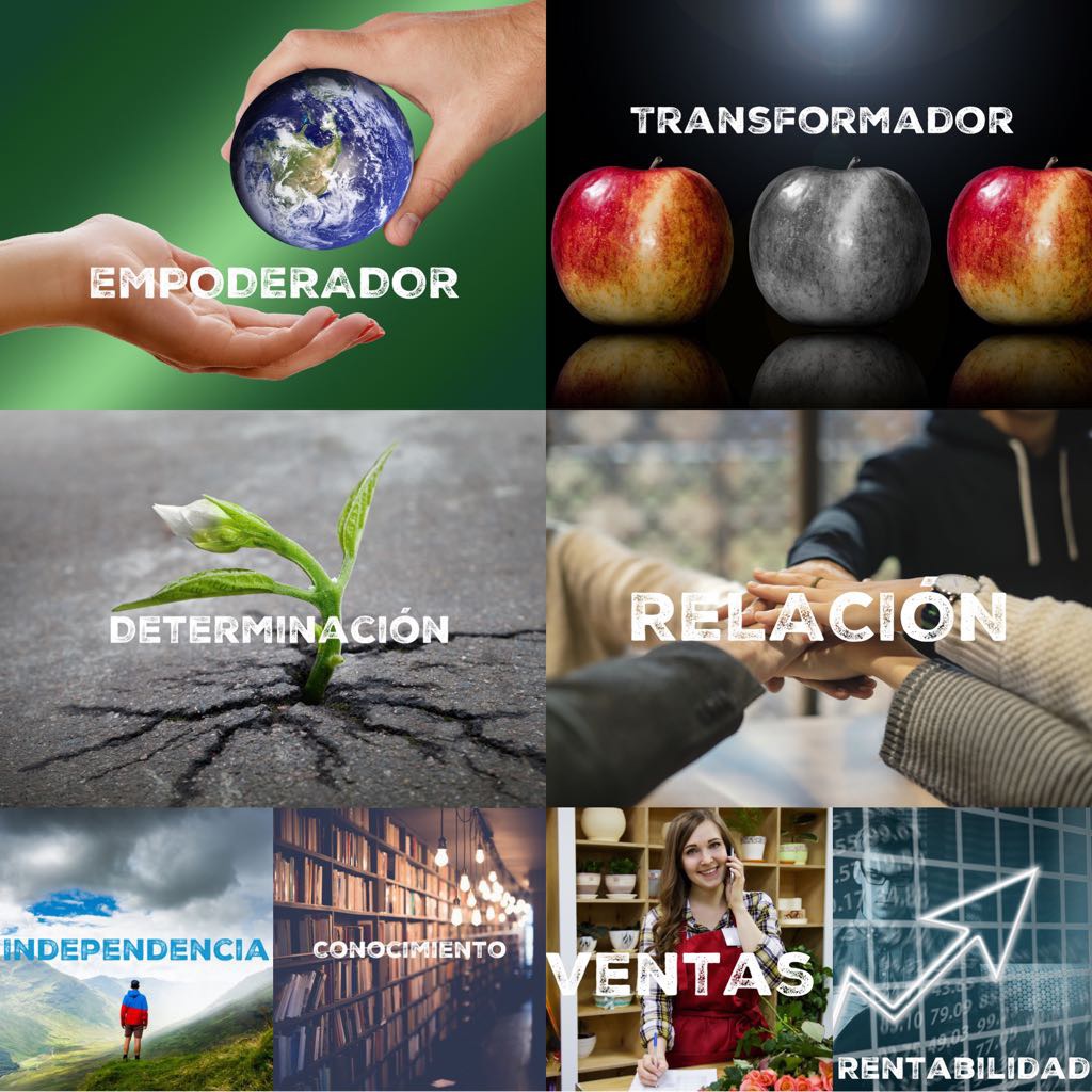 Emprendedor ¿Sabes Cuáles Son Tus Talentos? Un Enfoque Gallup