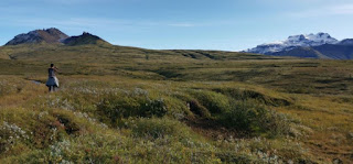 Parque Nacional Skaftafell.