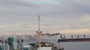 PREVENT,  AVOID dan PROTECT,  Arti dan Bedanya