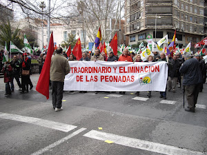 Manifestación del día 28 de febrero del 2013 en Jaén