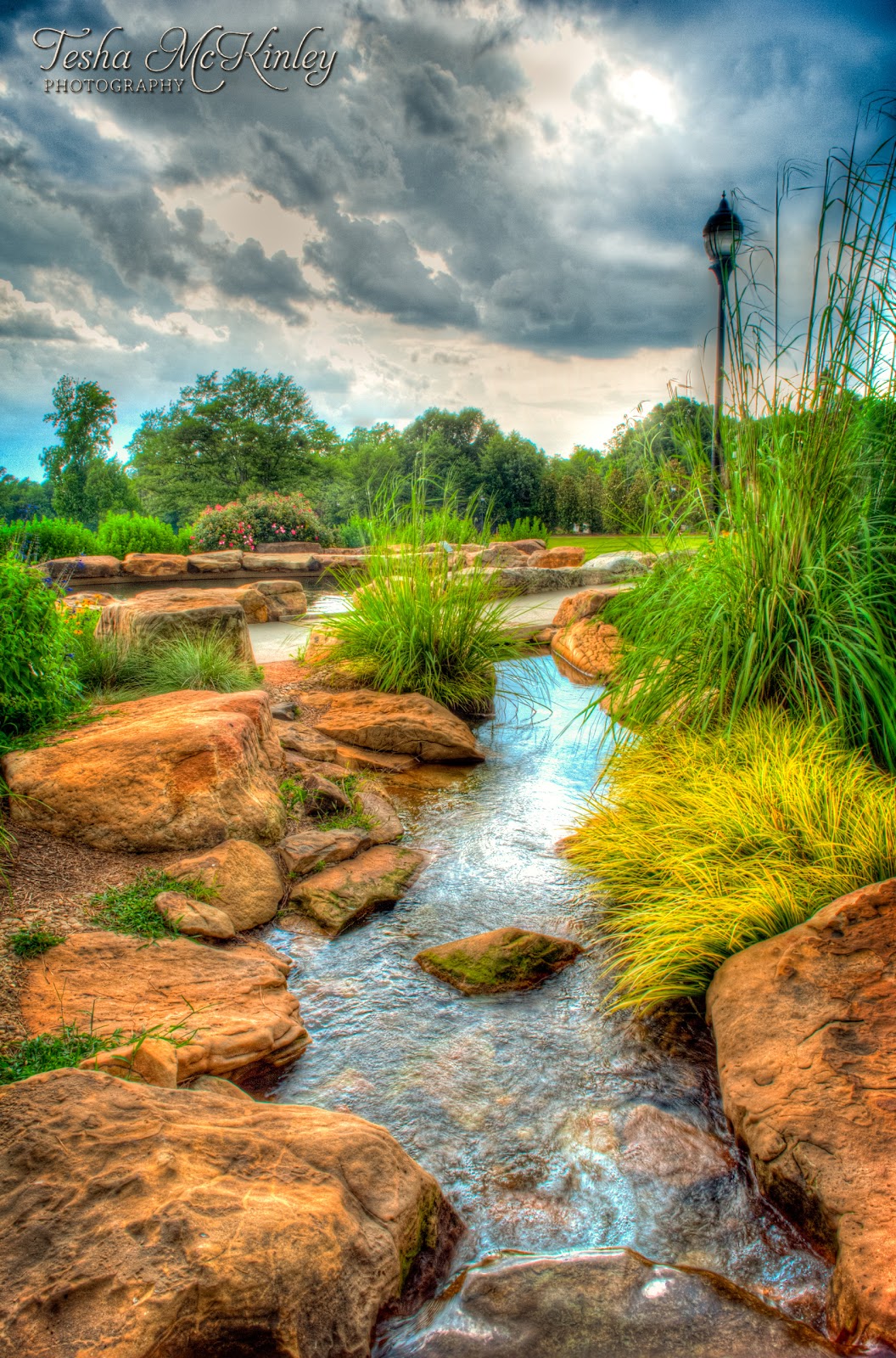 Tesha McKinley Photography Legacy Park