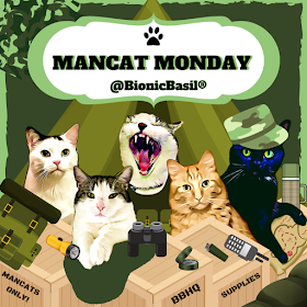 Mancat Monday at BBHQ with The B Team ©BionicBasil ®