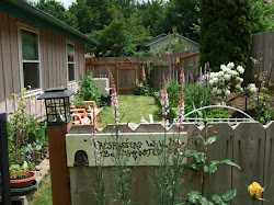 garden salem coop chicken tour place hens joy area