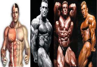 www.bodybuilding110.com