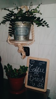 Casa da frente | As plantas