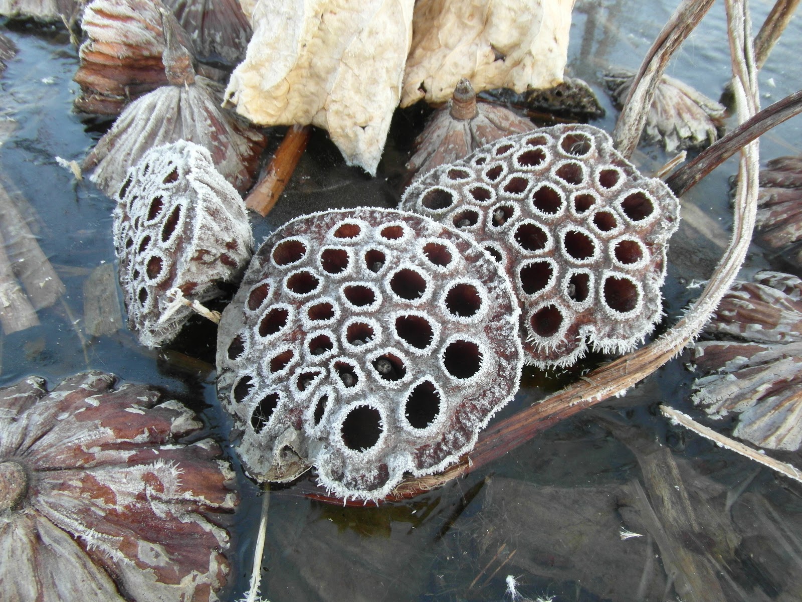 err-earth-reconnaissance-report