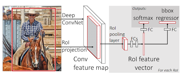 R Cnn (object Detection) A Beginners Guide To One Of The Most By Object ...