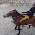 IMPRESSIONANTE: Homem em cavalo faz arrastão em paradas de ônibus