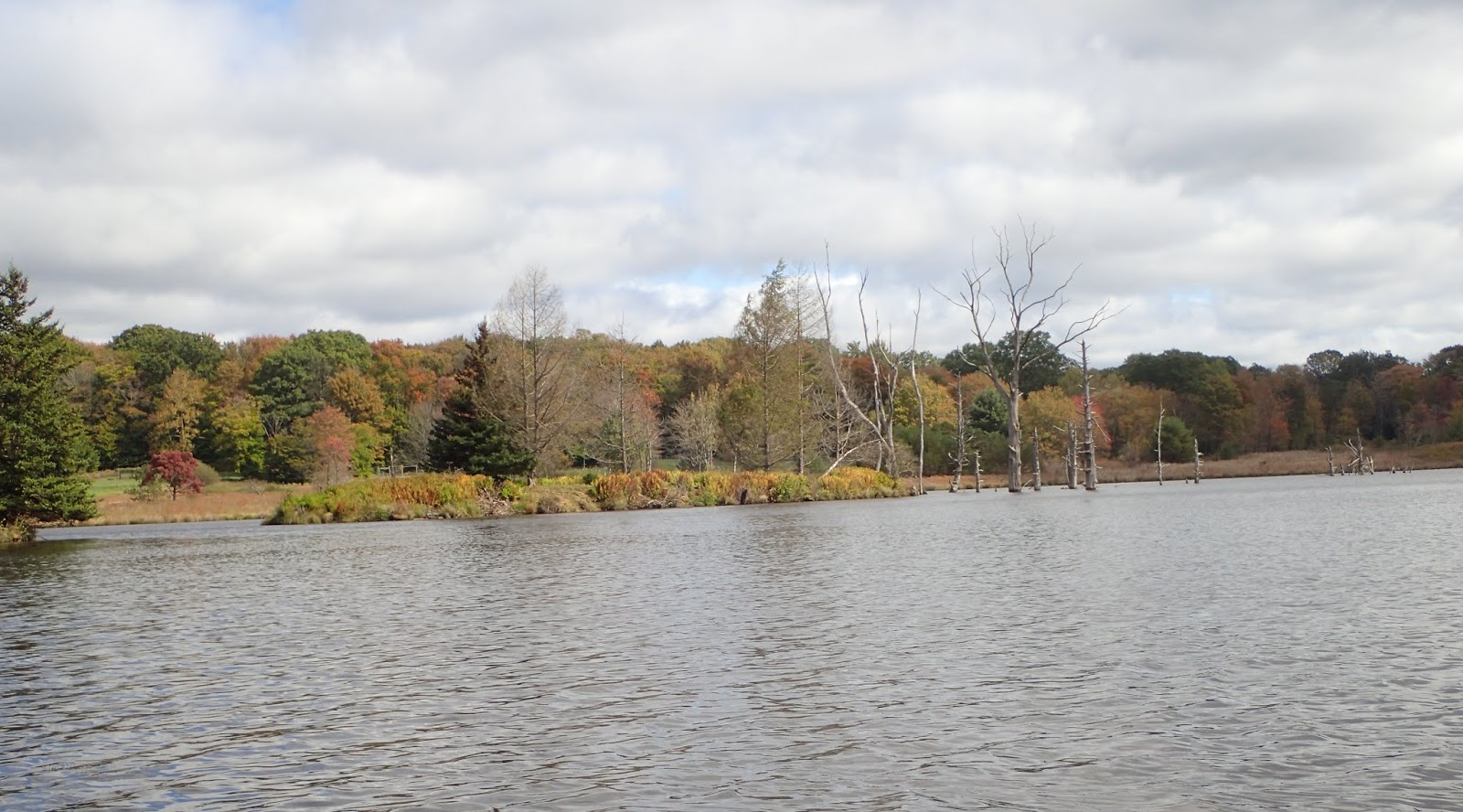 MidAtlantic DayTrips Kayaking at Shaggers Inn