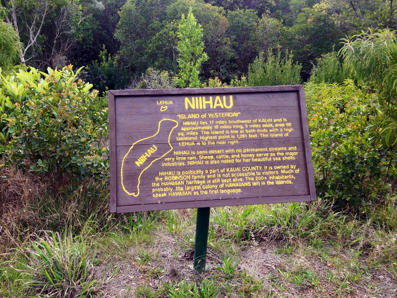 The Joni Journey Kaua'i Part 3 Snorkeling, Fern Grotto, & Robinson