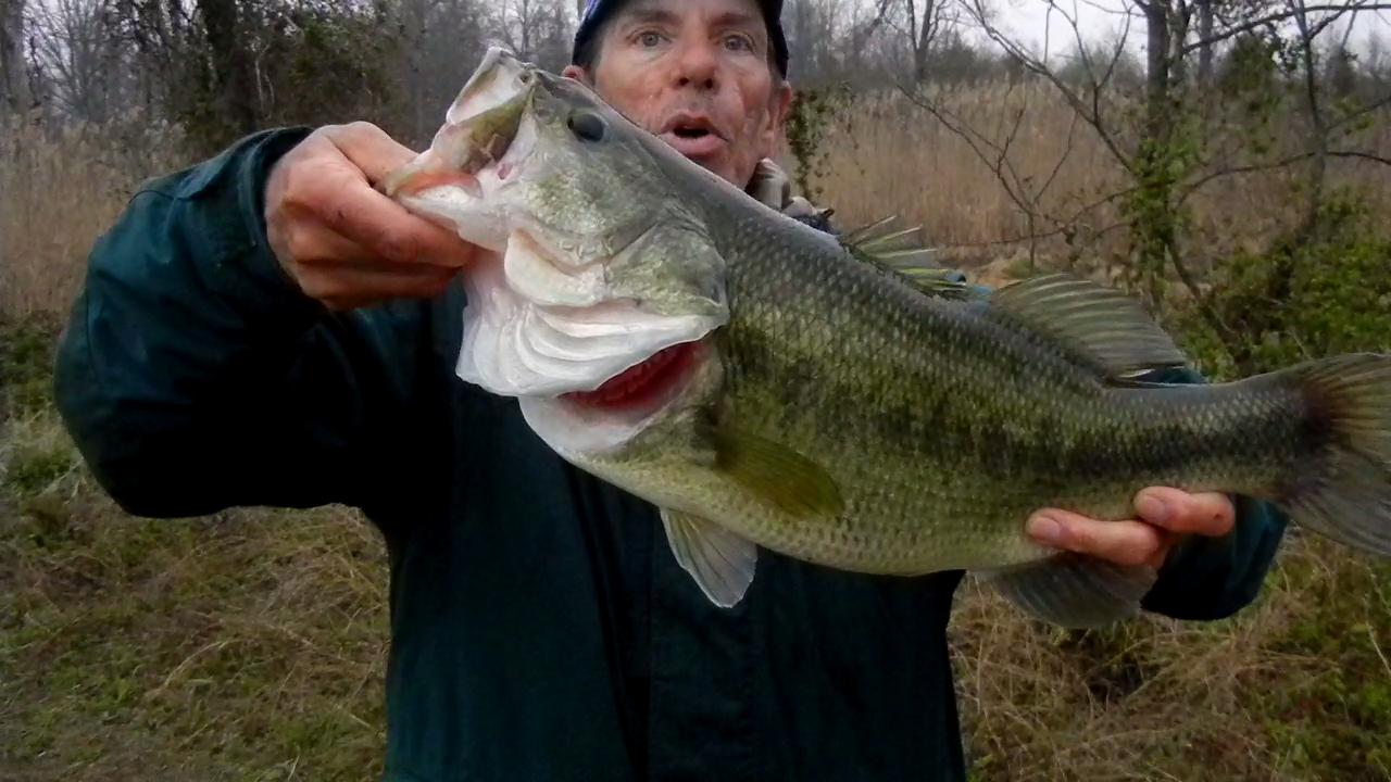 Sassafras River Bass Fishing Tournament Tips For Fall Bass Fishing On