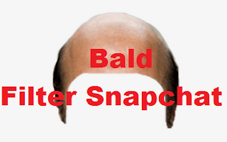 Bald Filter Snapchat  || Get the Snapchat Bald Filter [easy]