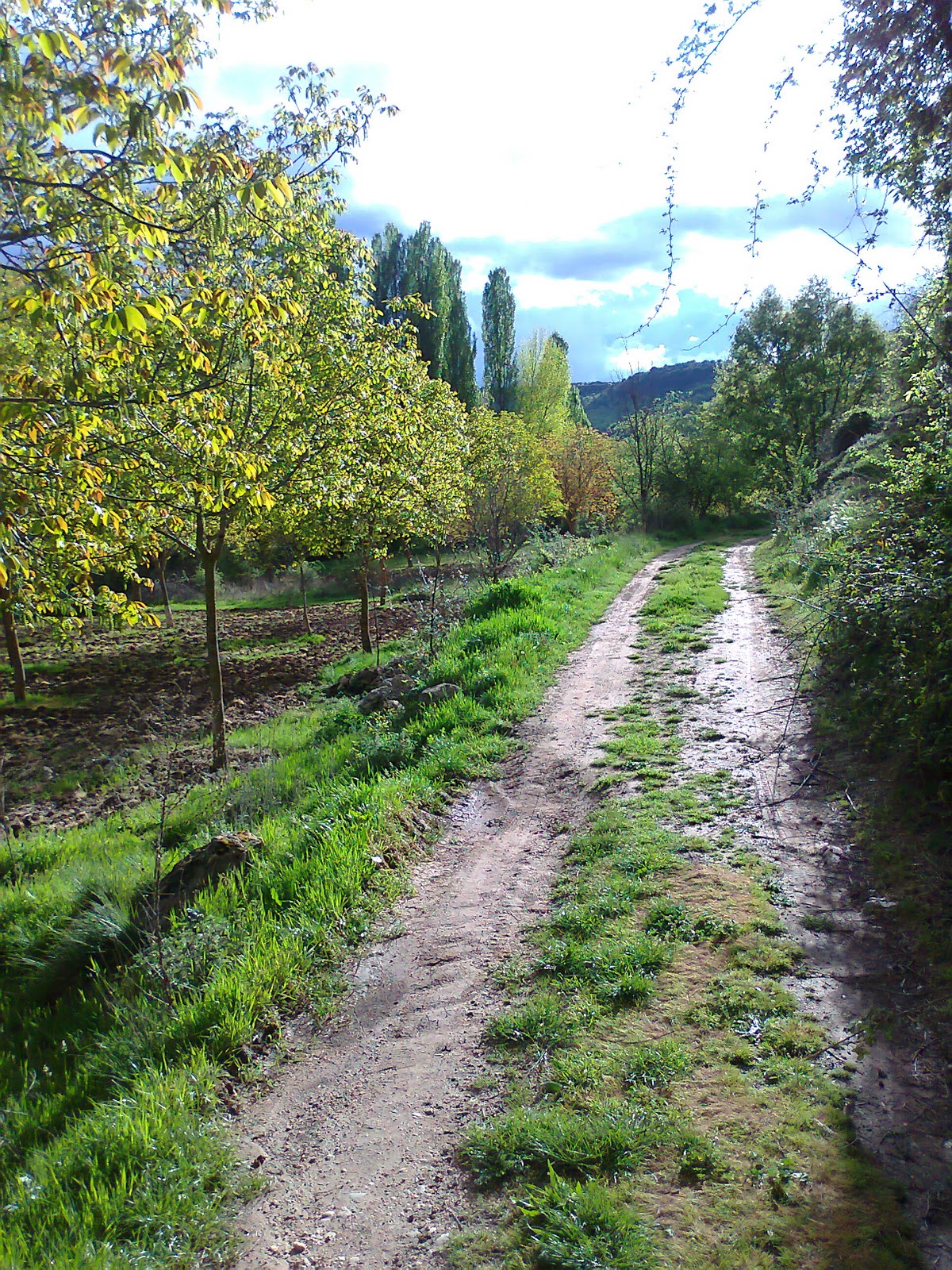 Las ensoñaciones del paseante solitario: Decíamos ayer. La guerra que