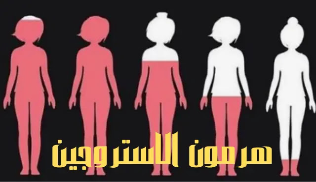 هرمون الاستروجين وأهميتة لدي النساء