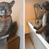 Meet Messi, The Rescued Puma That Lives As A Spoiled House Cat In Russia