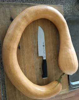 A large squash surrounding a kitchen knife.