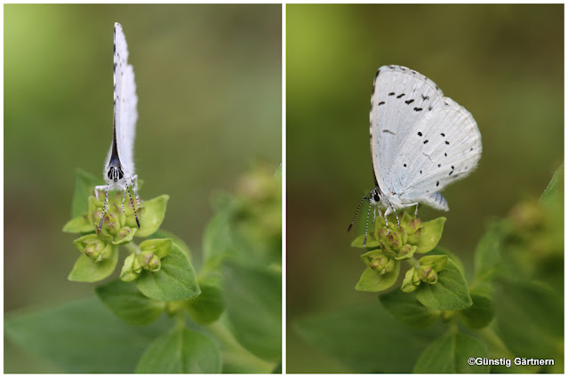 Burgerportal Bergisch Gladbach Nachrichten Hintergrunde Termine