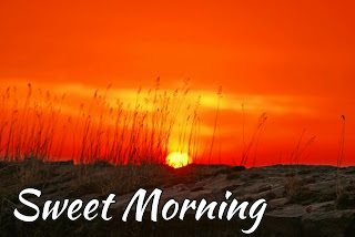 Best Sun Rise Good Morning Images Sun Rise Good Morning Images