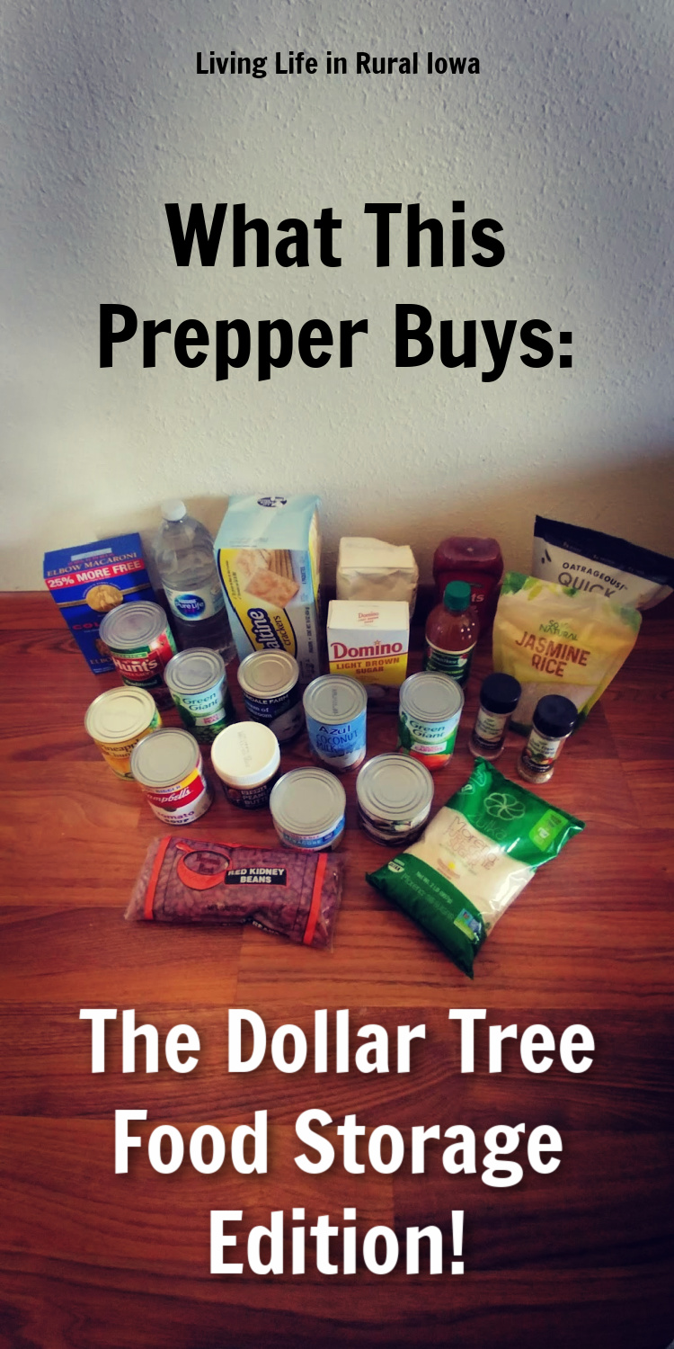 What This Prepper Buys The Dollar Tree Food Storage Edition! Living