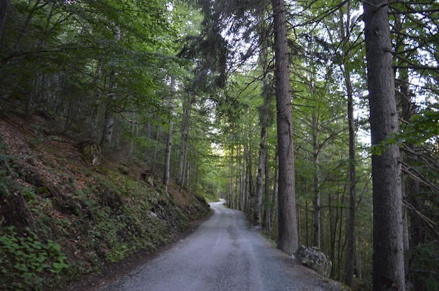 escursione rifugio brentei