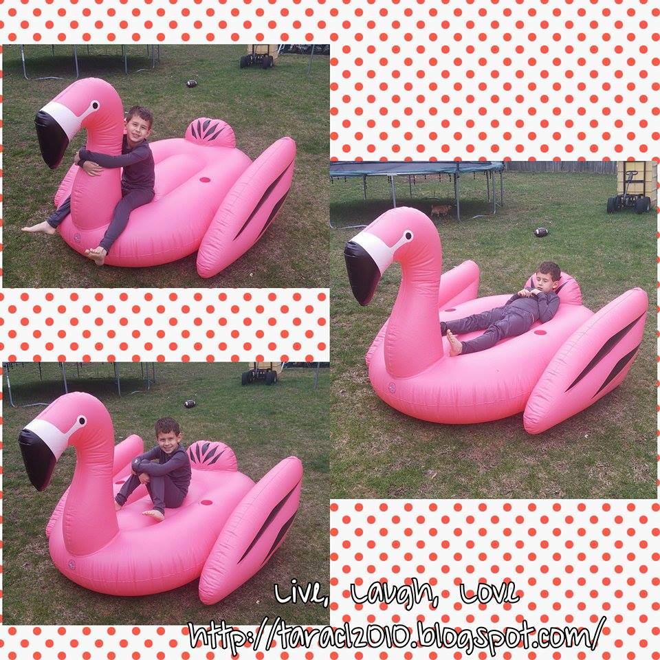 Live Laugh Love GoFloats Floatmingo Giant Inflatable Flamingo Review