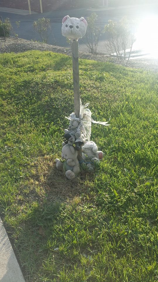 Alice's Adventures Underground Teddy Bear, Teddy Bear, Touch the Ground