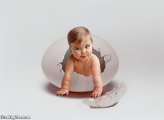Egg Donation Trends Worldwide Egg Donation Trends Worldwide