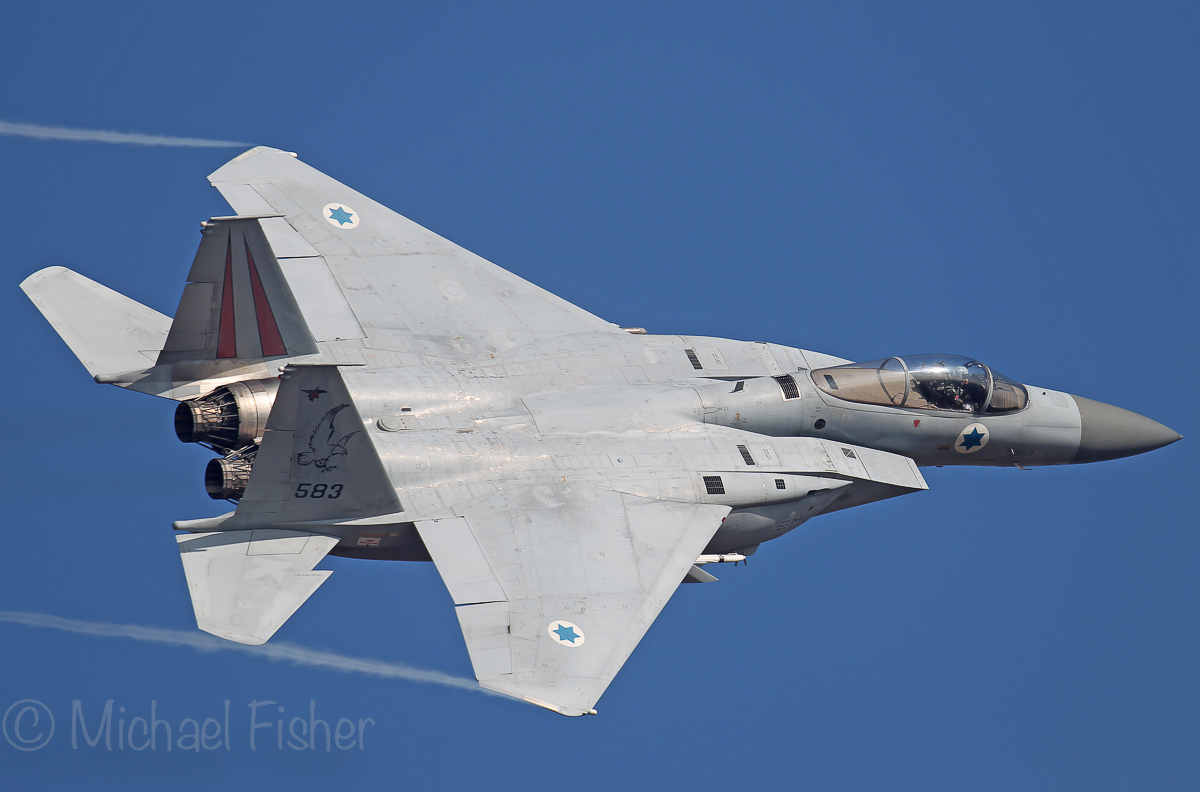 Pug Dog Kenny Simmons