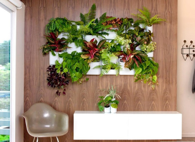 plant pot display ideas