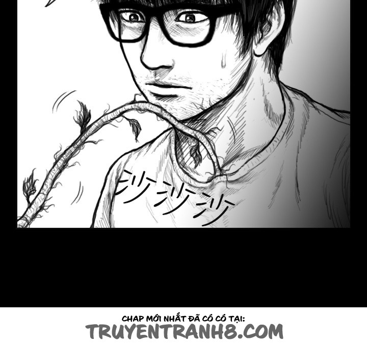 Hạt Giống Mỹ Nhân chap 17 - Trang 13