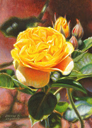 lockwood george yellow rose acrylic paintings 7x5 daily acrylics
