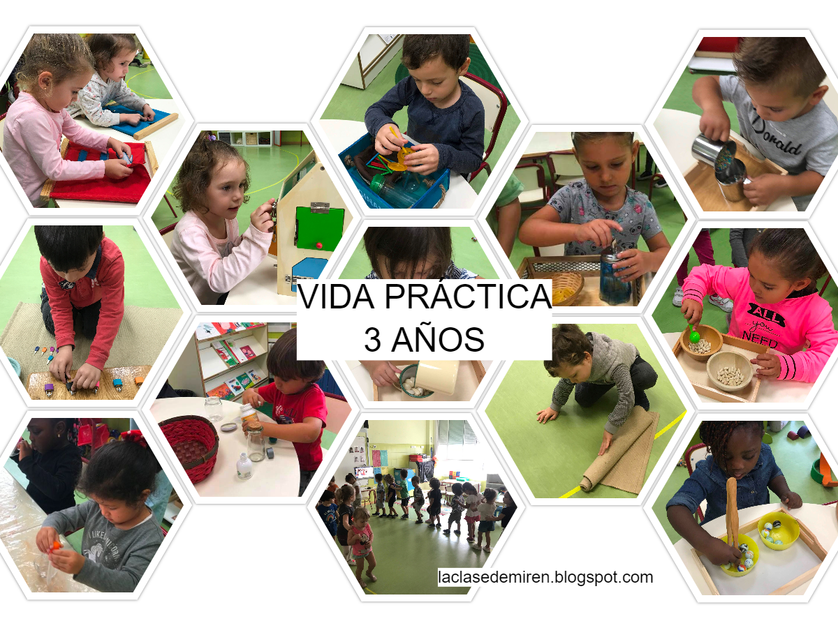 Vida práctica, vida sensorial / pedagogía Montessori. Digital