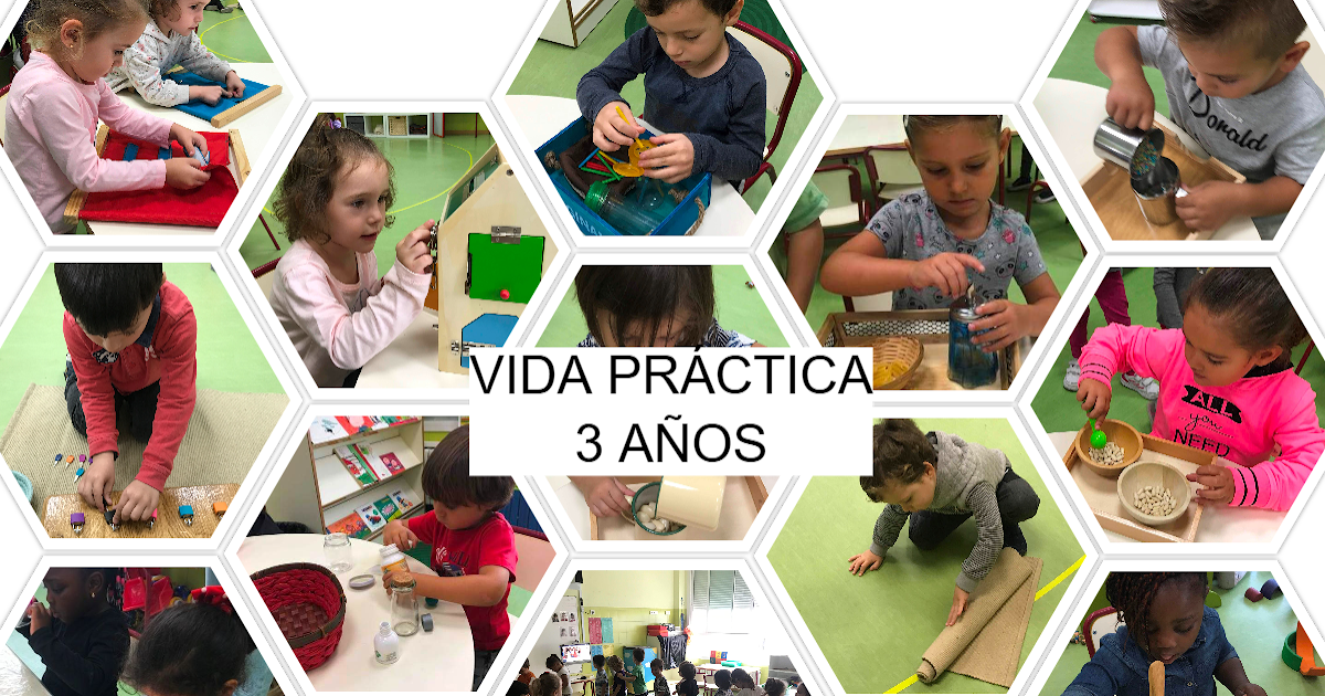 Vida práctica, vida sensorial / pedagogía Montessori. Digital