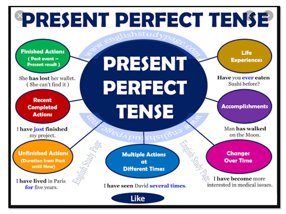 Soal Present Perfect Tense Kelas 9