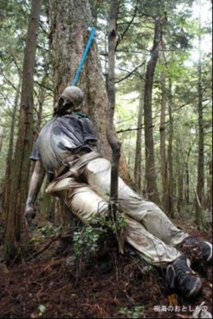 حقائق عن غابة أوكيغاهارا المعروفة بغابة الموت وسبب تسميتها بذلك حقائق عن غابة أوكيغاهارا المعروفة بغابة الموت وسبب تسميتها بذلك