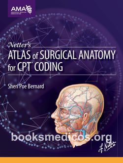 Netters Atlas of Surgical Anatomy for CPT Coding pdf