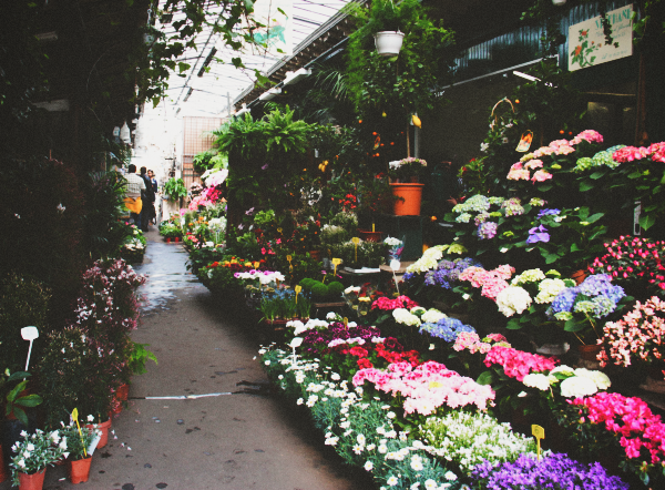 {travel inspiration | places : at the parisian flower markets}