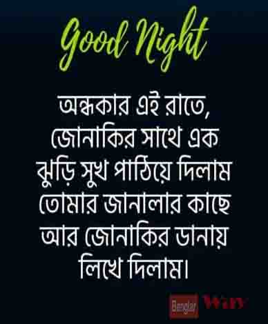 Bangla Good Night Image, Good Night Shayari image