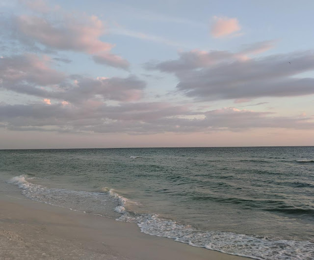 Anna Maria Island 2018 --Part Two --How Did I Get Here? My Amazing Genealogy Journey