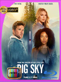 Big Sky (2020) Temporada 1-2 1080p Latino [GoogleDrive] [tomyly]