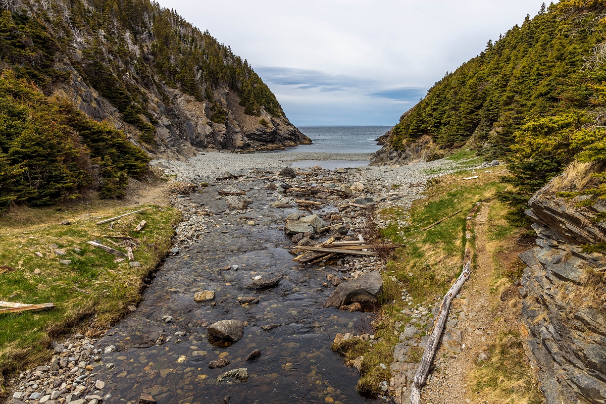 Bitstop Shoe Cove, East Coast Trail